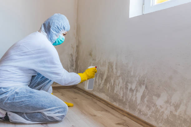 Licensed Mold Remediation service in Hartfield, VA - WQB Mold Removal