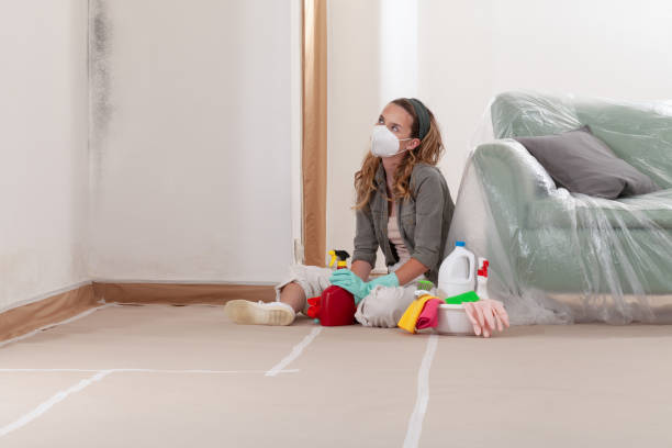 Reliable Mold Remediation contractor in Hartfield, VA by WQB Mold Removal